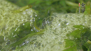 艾草葉放入煮沸的水中，加點食用堿，待變成深綠色時撈出，放入冰水中，瀝干備用。