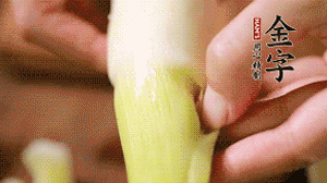 茭白剝去外殼，先切片再切絲。