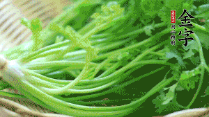 挑選鮮嫩的香菜，洗干凈后，處理成小段。